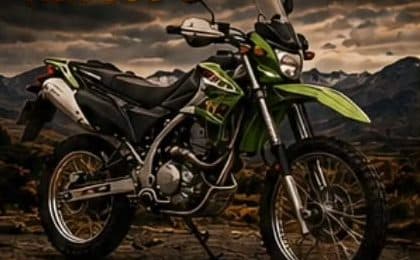 Kawasaki KLX 300 L
