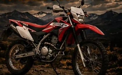 Honda Tornado 300